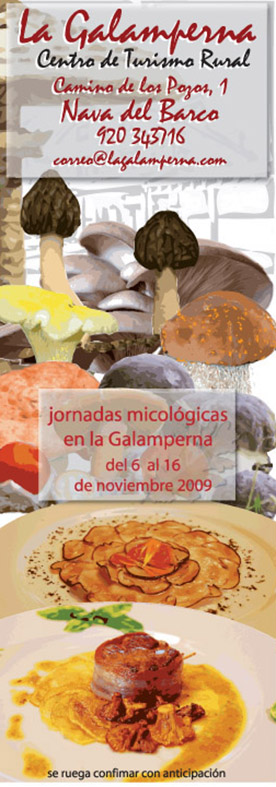 Galamperna, turismo rural, Nava deL Barco, Gredos, jornadas micológicas, Julián jiménez, diseño jesús garcía jiménez
