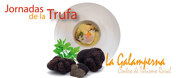 galamperna, jornadas de la trufa, la galamperna, gredos, nava del barco, julián jiménez, propuesta de marca, la galamperna, centro de turismo rural, nava del barco, gredos, julián jiménez, diseño jesús garcía jiménez