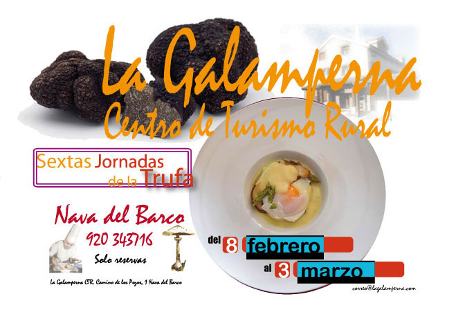 galamperna, poster 6ª jornadas Trufa 201, gredos, nava del barco, julián jiménez, propuesta de marca, la galamperna, centro de turismo rural, nava del barco, gredos, julián jiménez, diseño jesús garcía jiménez