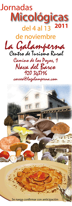 centro de turismo rural la galamperna, nava del barco, gredos, jornadas micológicas, hotel rural, julián jiménez, propuesta de marca, la galamperna, centro de turismo rural, nava del barco, gredos, julián jiménez, diseño jesús garcía jiménez