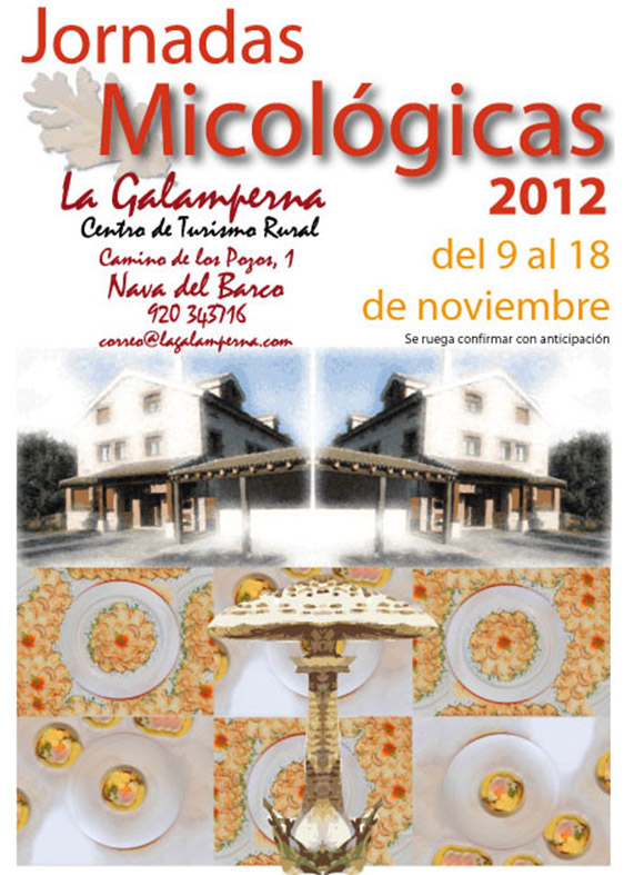 jornadas micológicas, centro de turismo rural la galamperna, nava del barco, gredos, julián jiménez, propuesta de marca, la galamperna, centro de turismo rural, nava del barco, gredos, julián jiménez, diseño jesús garcía jiménez