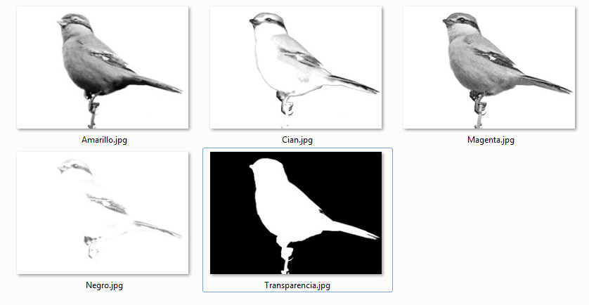 pajarillo, canales para grabar, jesús garcía jiménez, artes gráficas, salesianos atocha