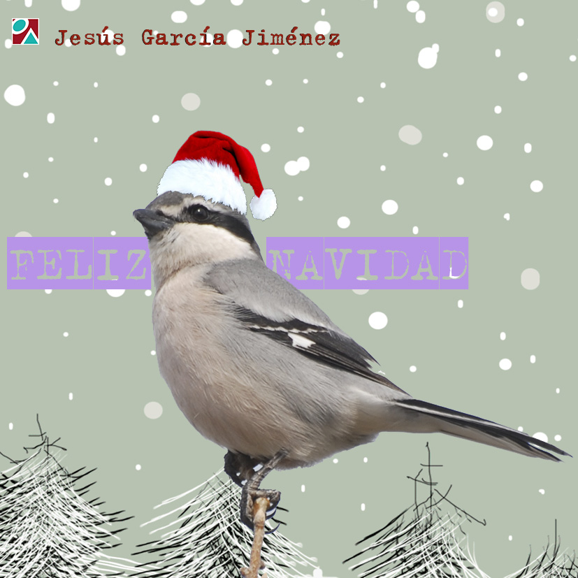 jesusgarciaj, jesús garcía jiménez, felicitación navidad