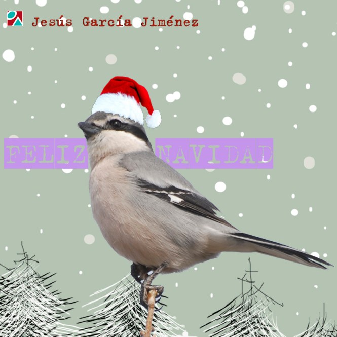 jesusgarciaj, jesús garcía jiménez, felicitación navidad